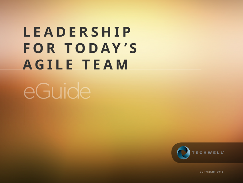 Leadership for Today's Agile Team